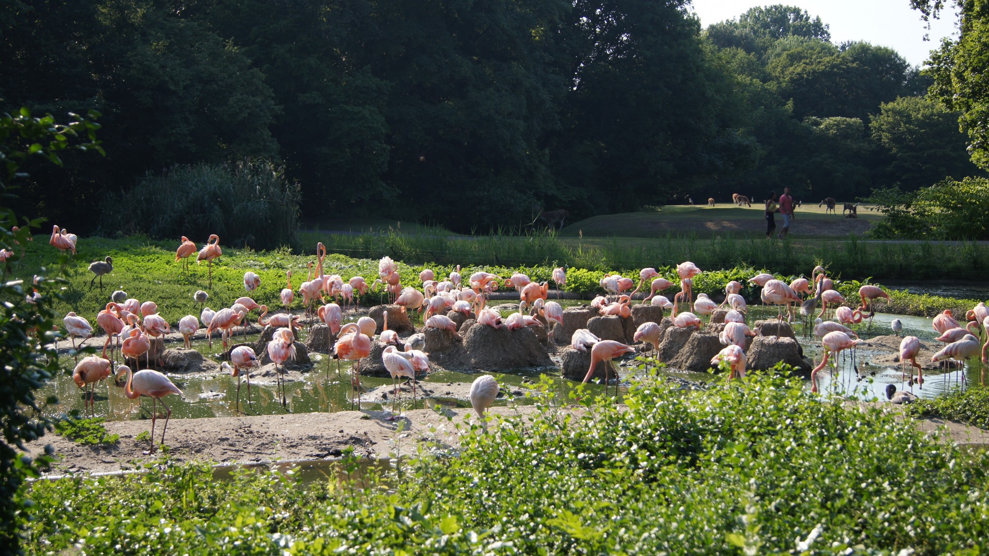 Berlin Zoo